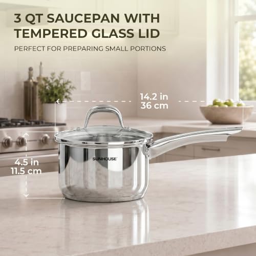 Stainless Steel Saucepan