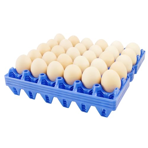 4 Pack Blue Rectangular Plastic Egg Tray (4 Count)