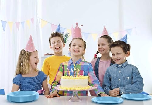 Sturdy Light Blue Plastic Plates 10" Party Plates 100 Pcs (10 inch / Light Blue)