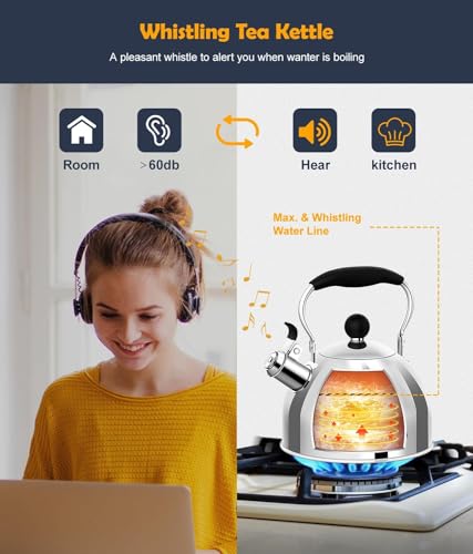 Tea Kettle 2 Quart Stainless Steel Whistling Tea Kettle (Silver)