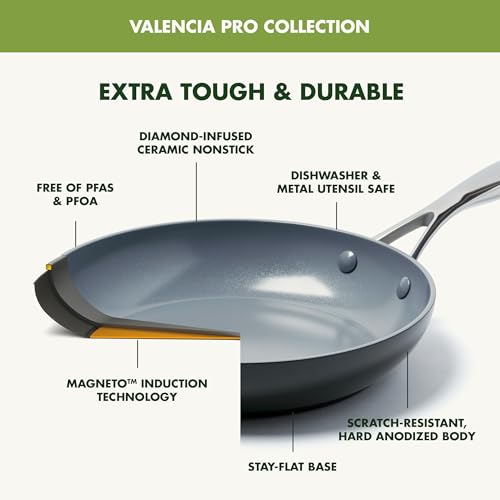 Valencia Pro 2 Piece (8" & 10" Frying Pan Skillet Set / Gray)