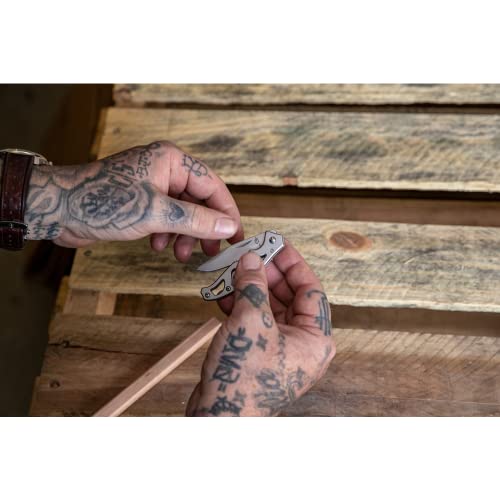 Gear Paraframe Mini Pocket Knife (0.4" / Paraframe Mini (Serrated Edge))