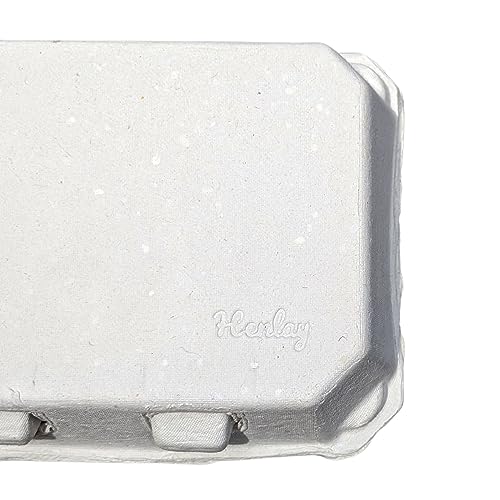 Half Dozen Blank White Egg Cartons (White / 20)
