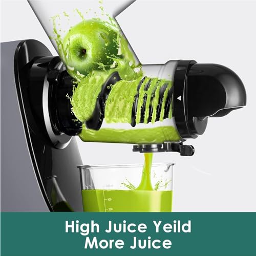 Juicer Machines (Silve)