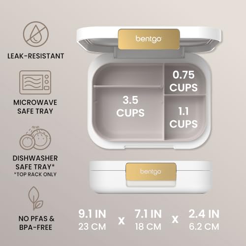 Modern Adult Bento Lunch Box with 3 (White)