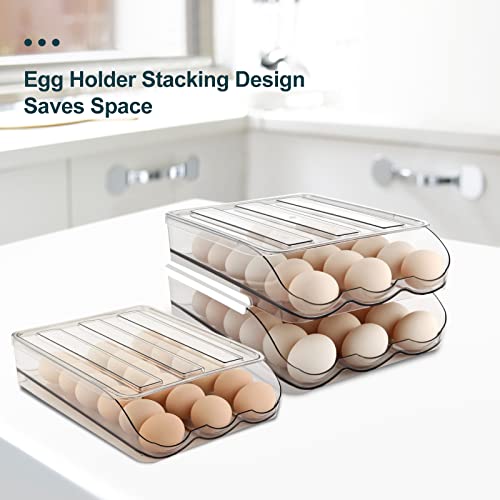 Egg Holder for Fridge (2 Count)