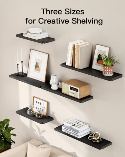 Amada Solid Paulownia Wood Wall Shelves (Black / Medium)