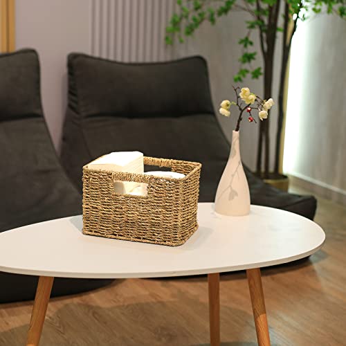 Large Wicker Baskets for Storage (17 x 12.2 x 7.5 inches / Natural (Seagrass))