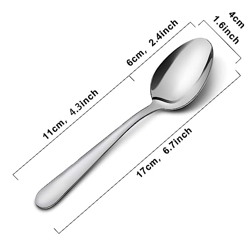 36 Piece Dinner Spoons Set (36p Dinner Spoons)