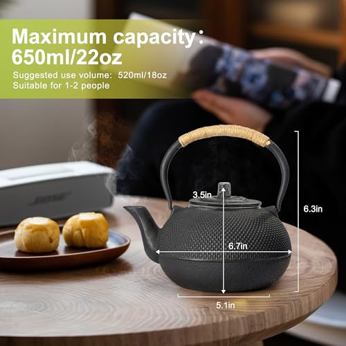 Japanese Tetsubin Cast Iron Teapot Tea Kettle pot with Stainless Steel Infuser for Stovetop Safe Coated with Enameled Interior 22 oz (22 oz / 650 ml)