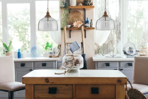 Capital Lighting 330318GY Julian Coastal Style Clear Organic Rippled Glass Pendant with Handcrafted Mango Wood Finial (Grey Wash)