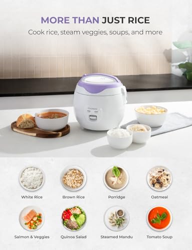 Rice Cooker and Warmer