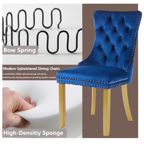 Blue Velvet Dining Chairs Set of 6 (Navy Blue)