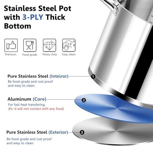 12 QT Stainless Steel Stock Pot with Lid (12 Quarts)