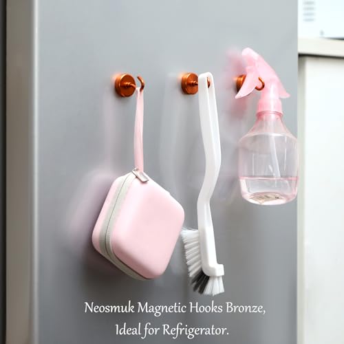 Magnetic Hooks (10 Count)