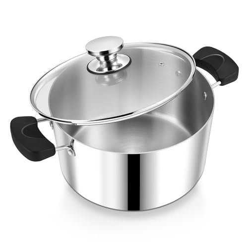 6 Qt Pot with Lid (6 Quarts)