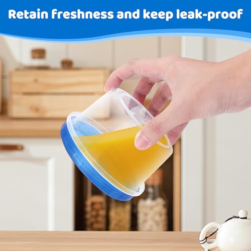 Freezer Storage Containers (16oz-10 pack)