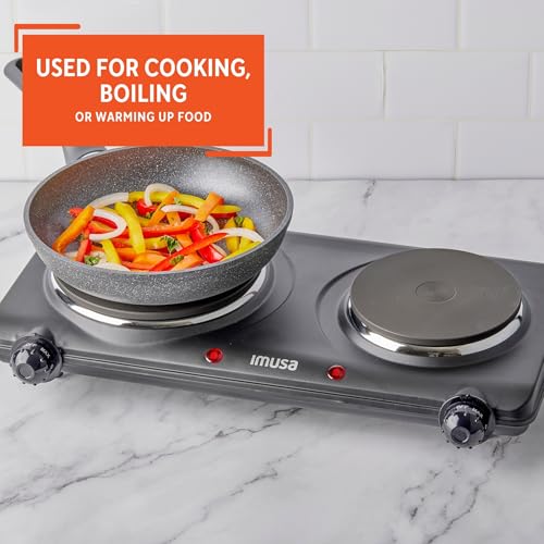 Double Electric Hot Plate (Hot plate / Double)