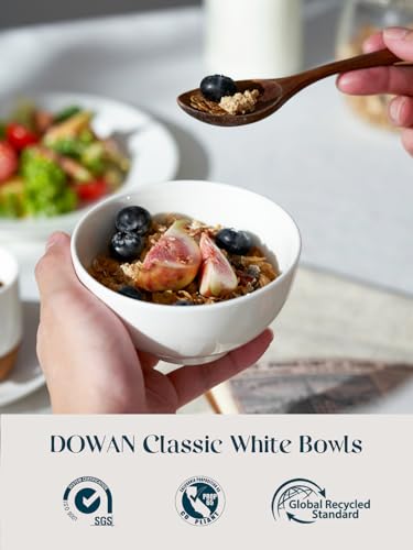 8.5 OZ Small Ceramic Bowls Set of 4 (10 OZ / Soft White)