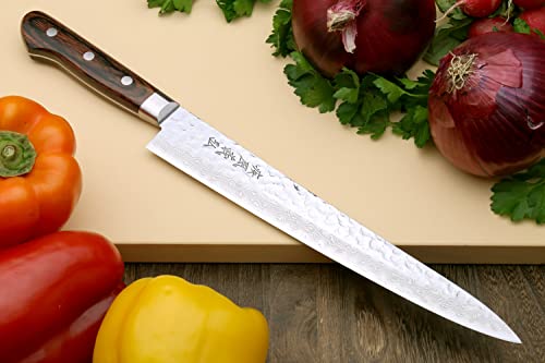 VG10 16 Layer Hammered Damascus Stainless Steel Sujihiki Slicer Chefs Knife (9.5" / Mahogany Handle)