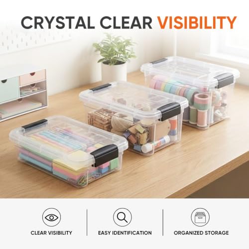1.05 Quart Mini Clear Plastic Storage Container with Lid (1.05 Quart)