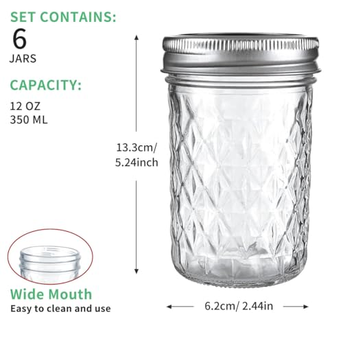 12oz Glass Mason Jars 6 Pack (12oz)