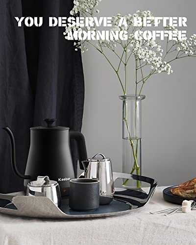 Electric Gooseneck Kettle (Black / 0.8 Quarts)