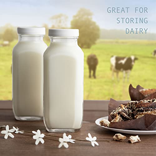 16 oz Glass Milk Bottle with Lid (16oz / 2 Pack)