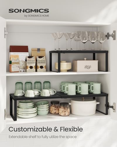 Spice Rack Expandable Kitchen Countertop Shelf (2 Count)
