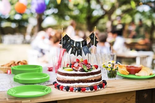 Sturdy Lime Green Plastic Plates 9" Party Plates 100 Pcs (9 inch / Lime Green)
