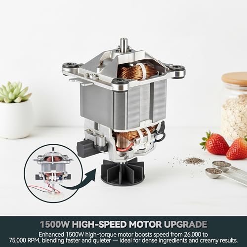 1500W Professional Glass Blender for Kitchen (Stainless Steel Silver)
