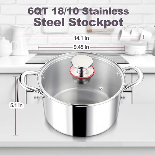 6QT 18 10 Stainless Steel Stockpot with Lid (6 Quarts)