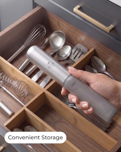 Rechargeable Milk Frother Handheld (Silver / Rechargeable Z1 Motor Max)