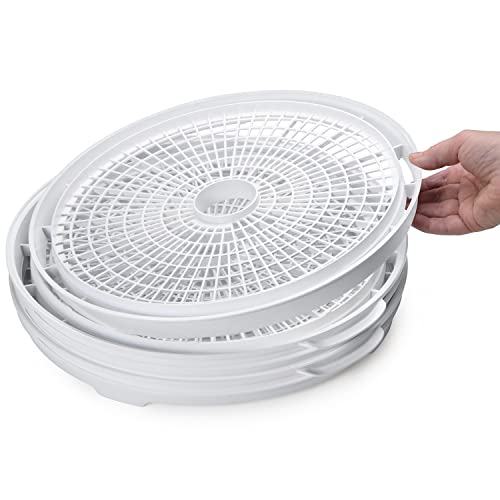 06300 Dehydro Electric Food Dehydrator (One Size)