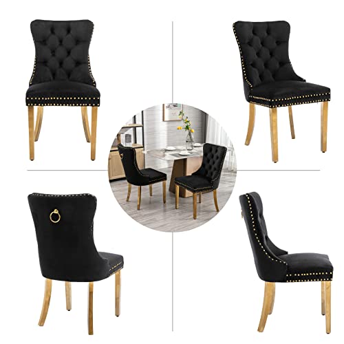 Black and Gold Velvet Dining Chairs Set of 2 (Standard Black)