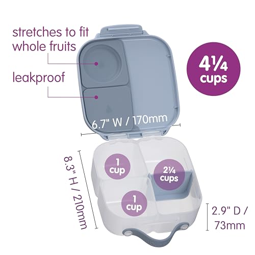 Mini Lunch Box