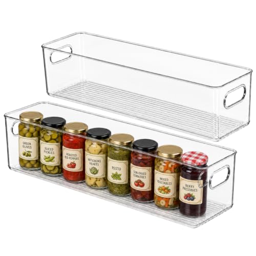 Plastic Food Storage 2 Pack Clear Container Bin with Handles for Organizing Kitchen (20x6x5)