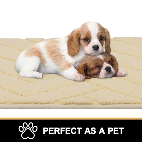 Indoor Doormat (Cream Yellow / 48" x 20" (Rectangular))