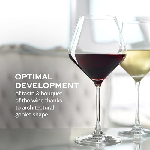 Revolution Burgundy Red Wine Glasses 18 1 (4 Pieces (1 Pack))