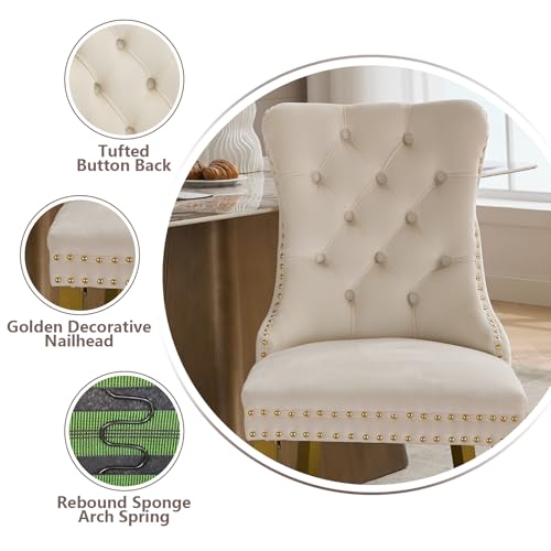 Cream Velvet Dining Chairs Set of 2 (Cream)