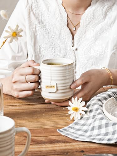 Ceramic Dinnerware Sets for 4 (Dinnerware & Mug 16 pieces)