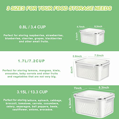 3 Pack Fruit Storage Containers for Fridge Berry Saver Lettuce Keeper (3 Pack Produce Savers)