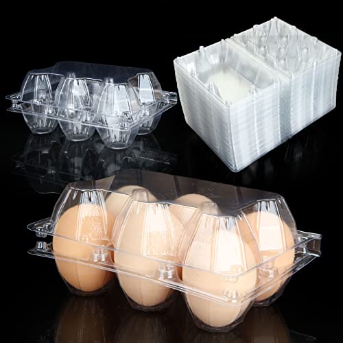 100PCS Egg Cartons Cheap Bulk