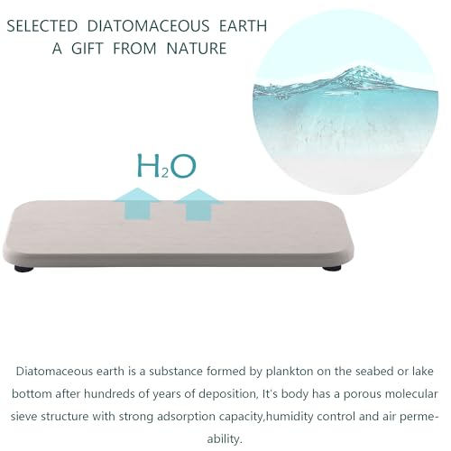 2Pcs Stone Soap Trays Water Absorbing Diatomite Coaster (White / 9.0" x 3.9")