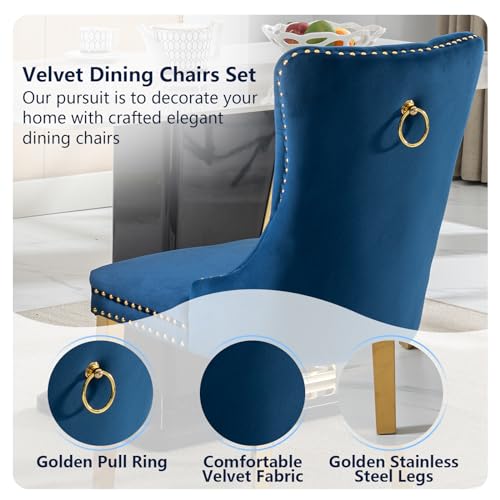 Blue Velvet Dining Chairs Set of 4 (Natural Blue)