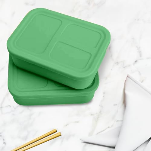 Platinum Silicone Bento Lunch Box Set of 2 (2 Count)