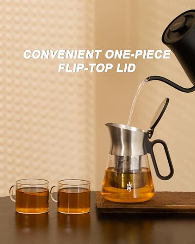 Glass Teapot with Infuser with 2 Cups for Loose Tea Steeper (23 oz (2 Cups))