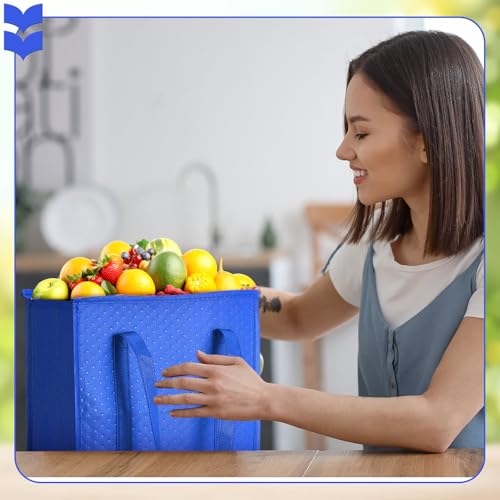 4 Pcs Insulated Grocery Bags Reusable (Royal Blue, Black)