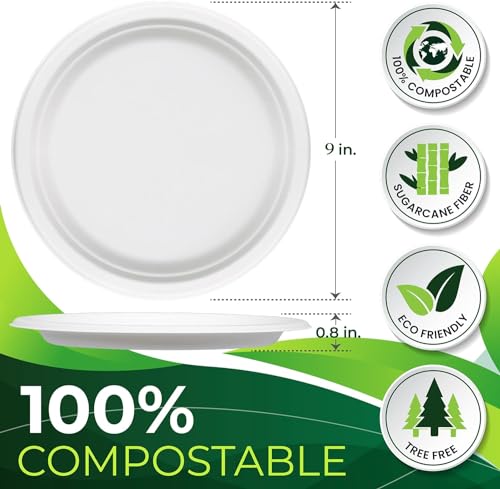 150pcs 100% Compostable 9in Paper Plates (White / 9in(150count))