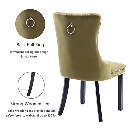 Olive Green Velvet Dining Chairs Set of 4 (Olive Green)